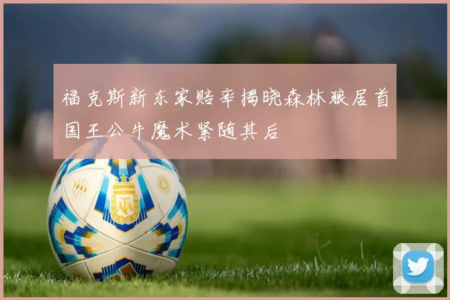 福克斯新东家赔率揭晓森林狼居首国王公牛魔术紧随其后