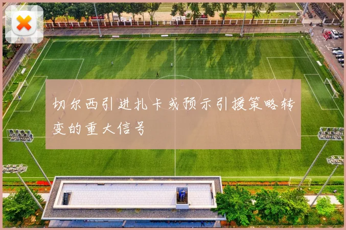 切尔西引进扎卡或预示引援策略转变的重大信号